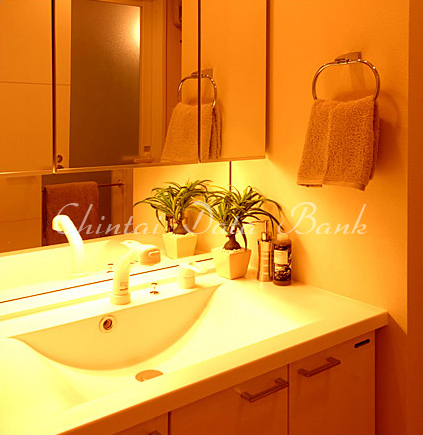 パウダールーム(モデルルーム)